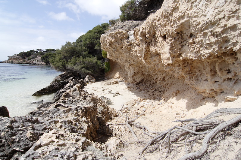 Lokation: Australien | Rottnest Island Kategorien: Datum: 25.10.2008
