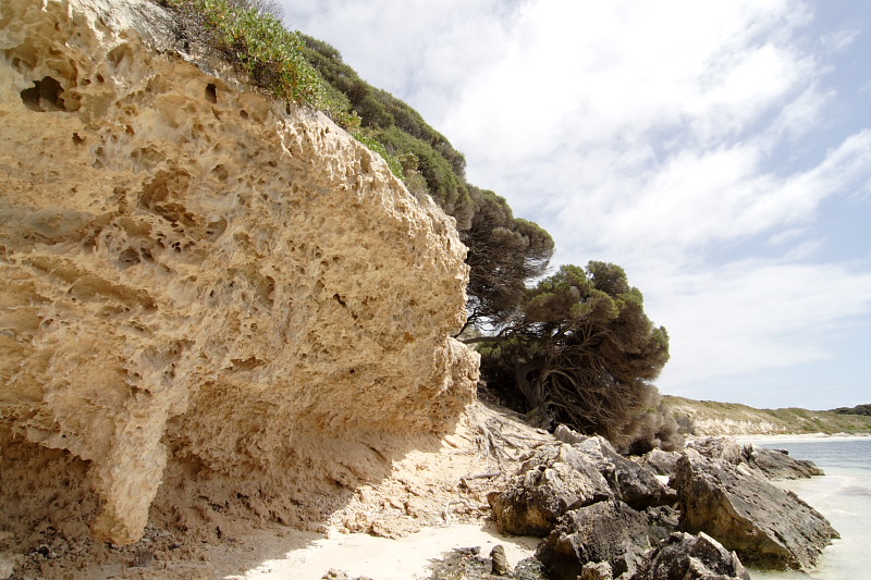 Lokation: Australien | Rottnest Island Kategorien: Datum: 25.10.2008