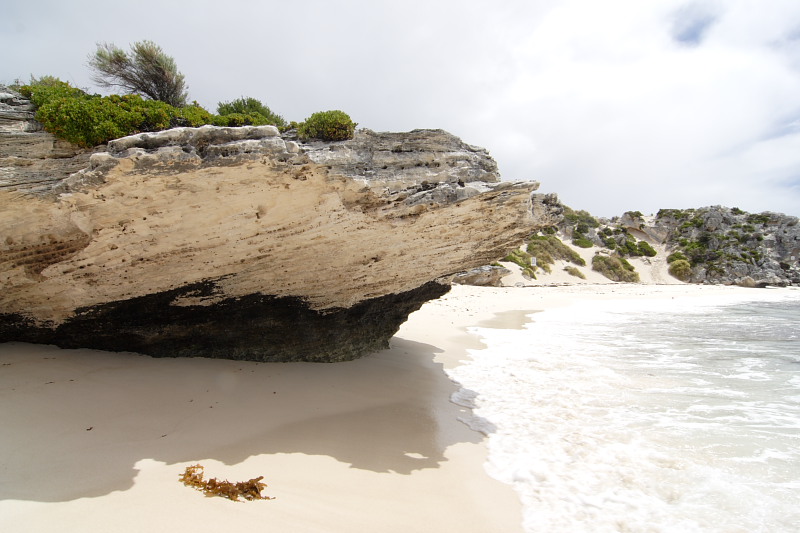 Lokation: Australien | Rottnest Island Kategorien: Datum: 25.10.2008