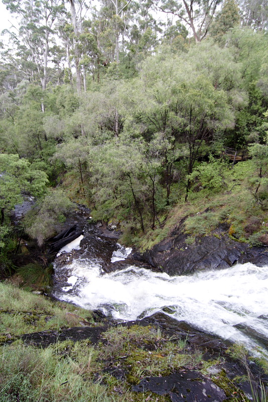 Lokation: Australien | Western Australia | Pemberton | Pemberton 14.66 Km West Pemberton Kategorien: Datum: 30.10.2008