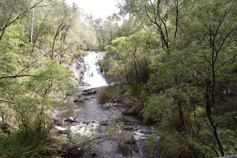 Lokation: Australien | Western Australia | Pemberton | Pemberton 14.67 Km West Pemberton Kategorien: Datum: 30.10.2008