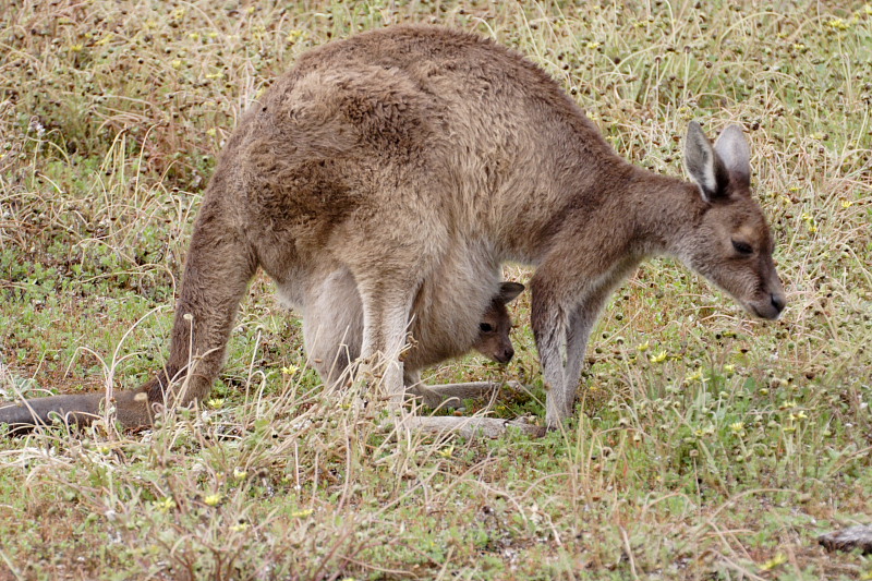 Kategorien: Datum: 30.10.2008