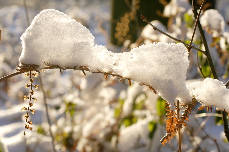 Kategorien: Datum: 06.01.2009