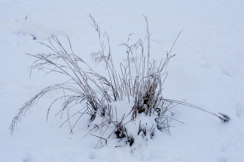 Kategorien: Datum: 06.01.2009