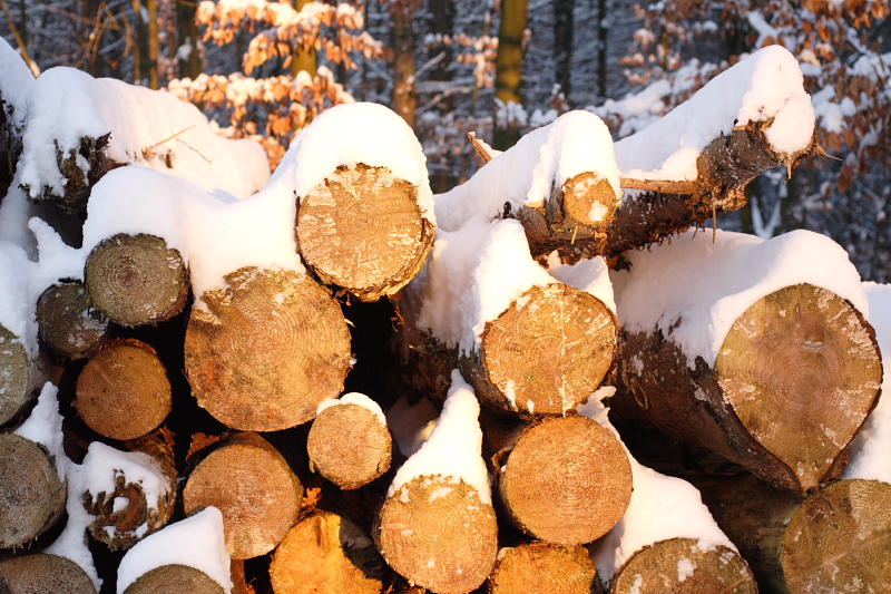 Kategorien: Datum: 06.01.2009