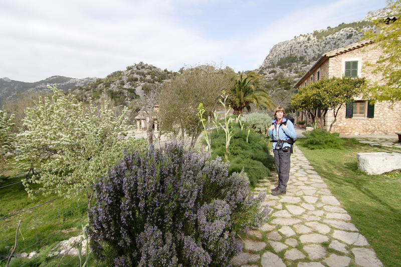 Lokation: Spanien | Baleares | Mancor De La Vall | Mancor de la Vall Kategorien: Datum: 25.03.2009