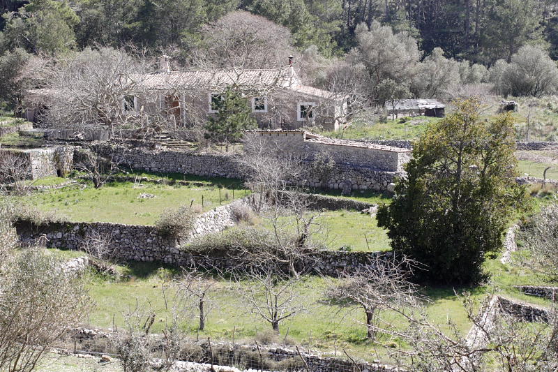 Lokation: Spanien | Baleares | Biniaraix | Biniaraix Kategorien: Datum: 26.03.2009