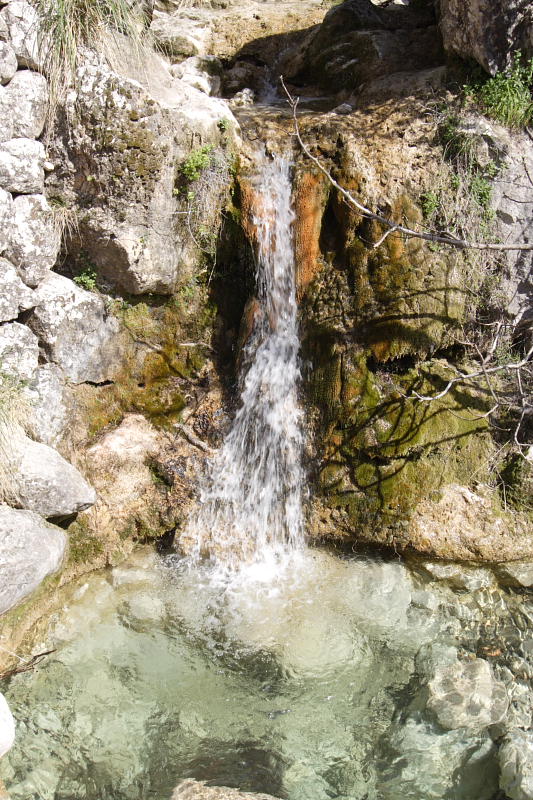 Lokation: Spanien | Baleares | Biniaraix | Biniaraix Kategorien: Datum: 26.03.2009