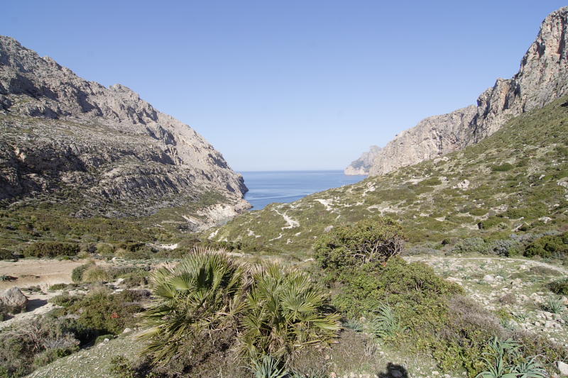 Lokation: Spanien | Baleares | Cala Sant Vicenç (Pollença) | Can Singala Kategorien: Datum: 27.03.2009