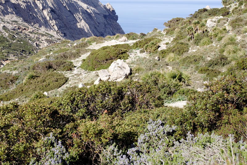Lokation: Spanien | Baleares | Cala Sant Vicenç (Pollença) | Can Singala Kategorien: Datum: 27.03.2009