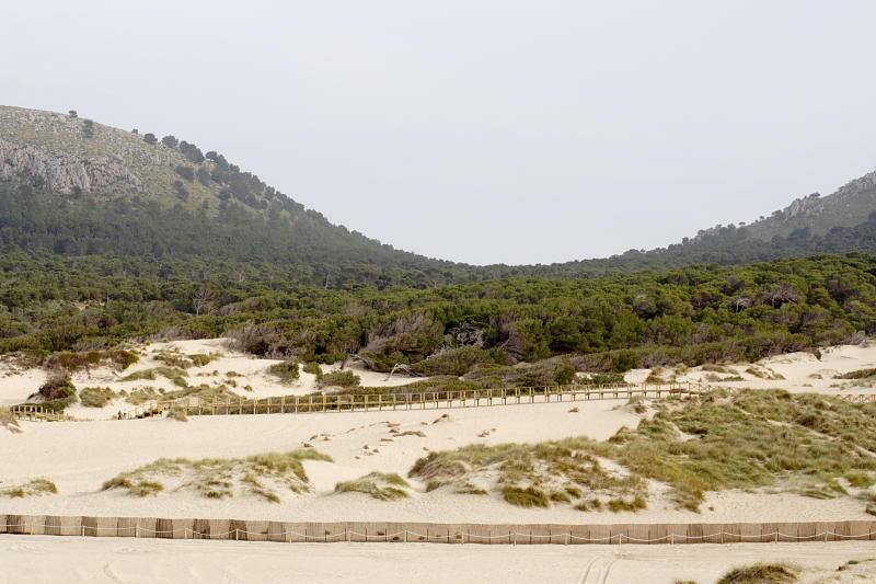 Lokation: Spanien | Baleares | Capdepera | Cala Mesquida Kategorien: Datum: 28.03.2009