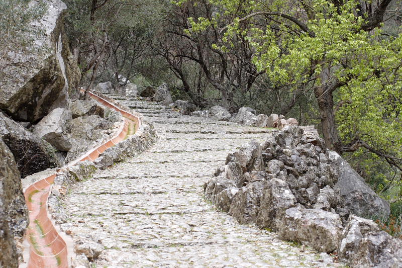 Lokation: Spanien | Baleares | Biniaraix | Biniaraix Kategorien: Datum: 30.03.2009