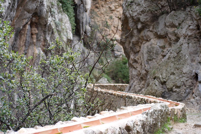 Lokation: Spanien | Baleares | Biniaraix | Biniaraix Kategorien: Datum: 30.03.2009