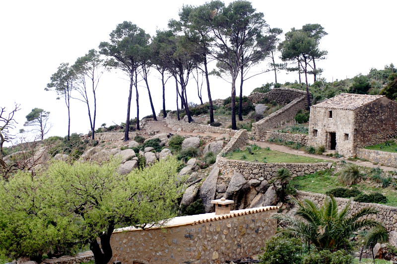 Lokation: Spanien | Baleares | Andratx | Sant Elm Kategorien: Datum: 31.03.2009