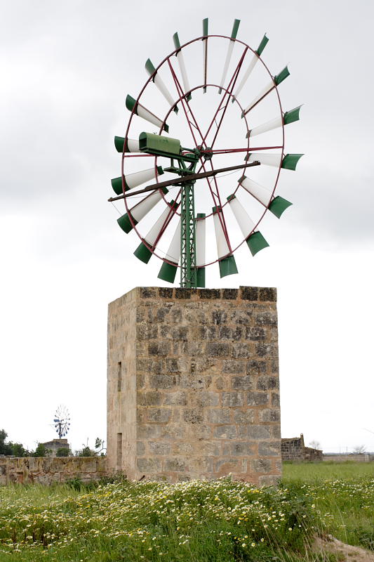 Lokation: Spanien | Baleares | Campos | Campos Kategorien: Datum: 01.04.2009