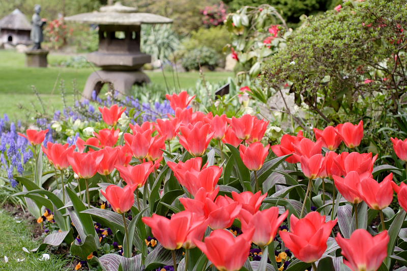 Kategorien: Datum: 10.04.2009