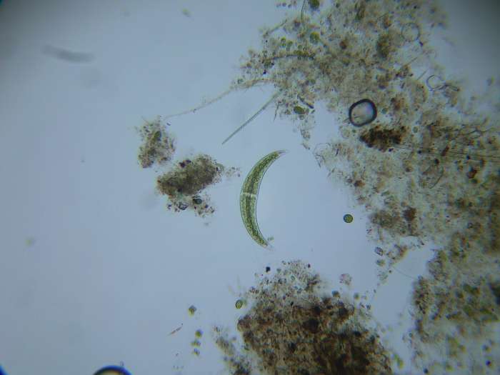 Lokation: Zuhause Kategorien: Mikro, Datum: 14.11.2004