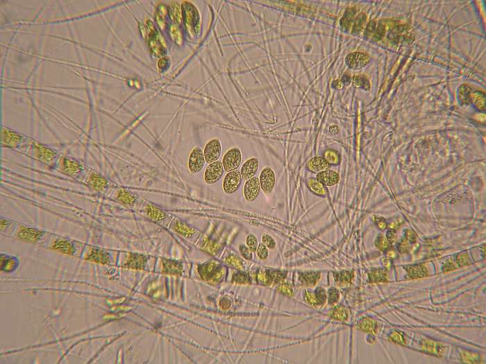 Lokation: Zuhause Kategorien: Mikro, Datum: 15.11.2004