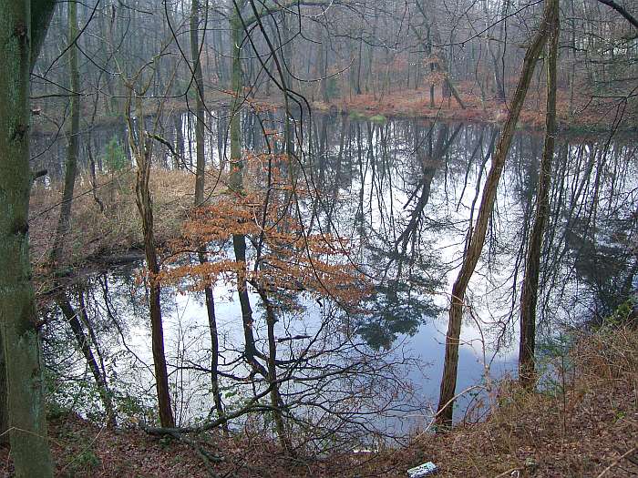Lokation: Saaler Mühle Kategorien: Teich, Datum: 23.01.2005