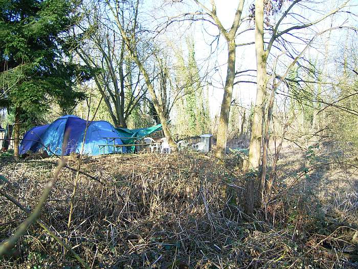 Lokation: NSG Kradepohlsmühlenweg Kategorien: Beeinträchtigung, Datum: 21.03.2005