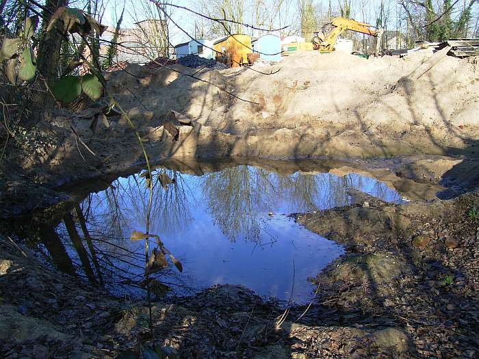 Lokation: NSG Kradepohlsmühlenweg Kategorien: Beeinträchtigung, Datum: 21.03.2005