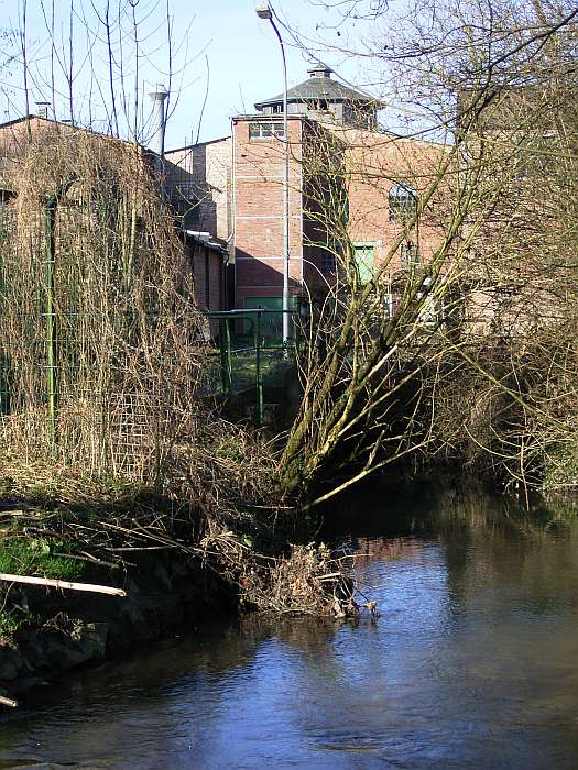 Lokation: NSG Kradepohlsmühlenweg Kategorien: Beeinträchtigung, Datum: 21.03.2005