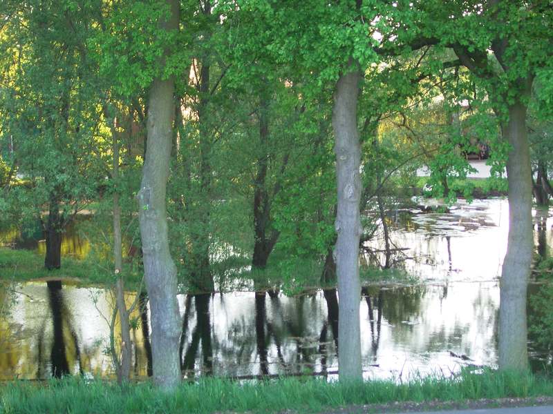 Lokation: Deutschland | Niedersachsen | Damnatz Damnatz | Damnatz Kategorien: Datum: 11.05.2008