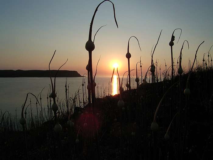 Lokation: Menorca Kategorien: Meer, Sonnenauf-,untergang, Datum: 30.06.2004