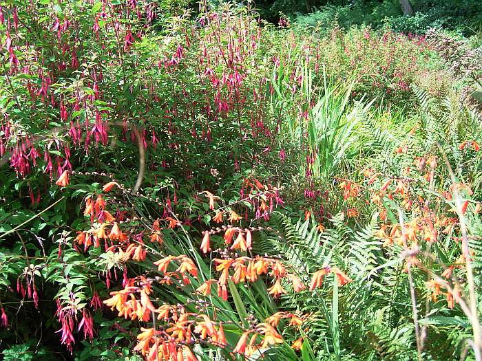 Lokation: Normandie Kategorien: Garten, Datum: 12.08.2004