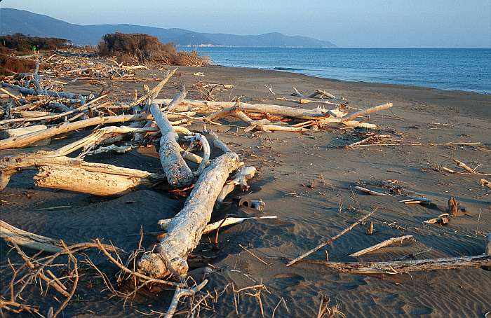 Lokation: Italien, Maremma Kategorien: Meer, Datum: 27.03.2002